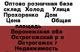 Оптово-розничная база-склад “Холод“ › Улица ­ Прохоренко › Дом ­ 134 › Цена ­ 7 000 000 › Общая площадь ­ 1 500 - Воронежская обл., Острогожский р-н, Острогожск г. Недвижимость » Помещения продажа   